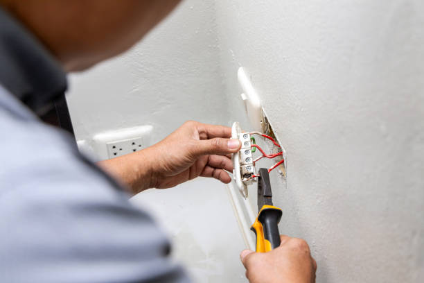 Best Electric Panel Repair  in Neenah, WI